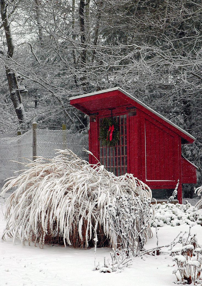Chicken Coop decorated for Christmas. #ChickenCoop Via Home Talk.