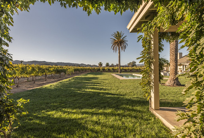 Farmhouse backyard with vineyard and pool.