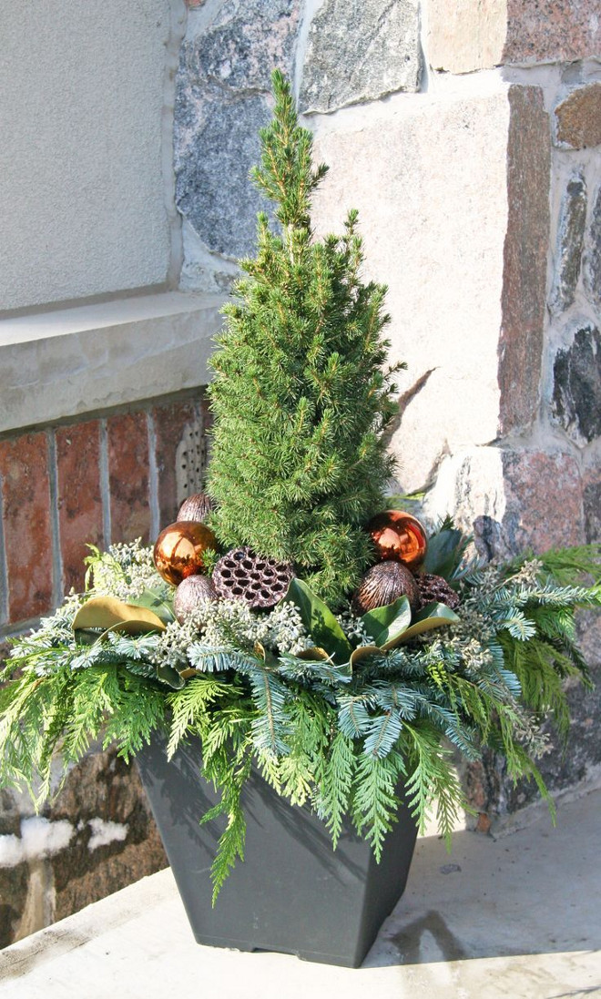 How to create a beautiful Outdoor Christmas Planter. Via Deb Fahn Pinterest.