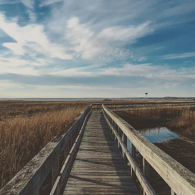 Old Pier. Howie Guja