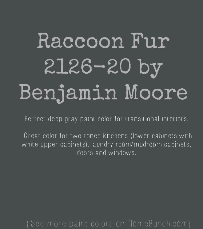 Raccoon Fur 2126-20 by Benjamin Moore. Great deep gray paint color. Gray Benjamin Moore Paint Color Raccoon Fur 2126-20 by Benjamin Moore. #RaccoonFur #Benjamin Moore Via HomeBunch