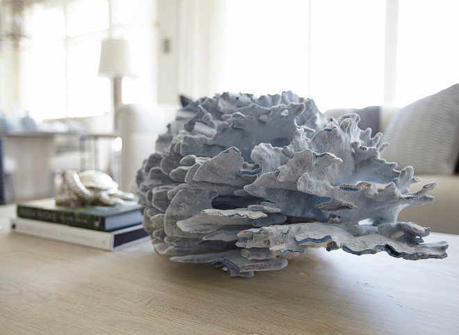 Coral. Coffee table with coral. #Coral Laura Allyson Interiors.
