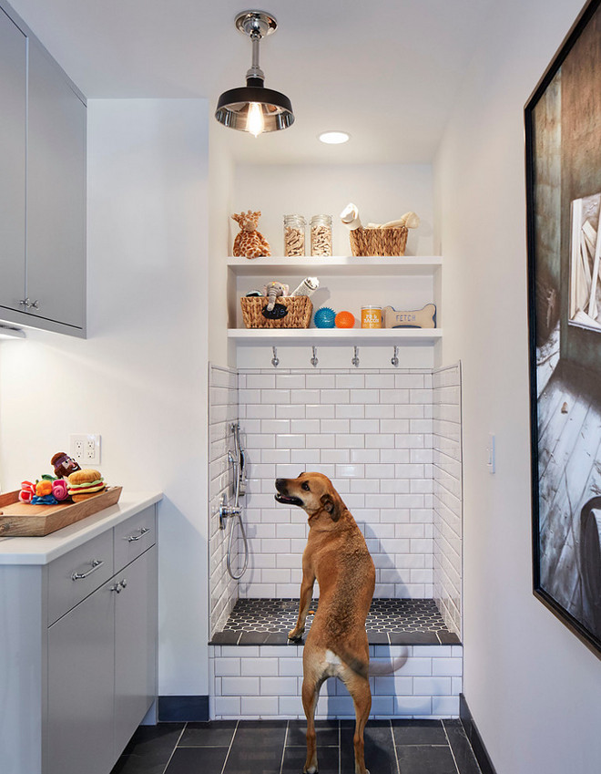 Dog Shower. Laundry room, mudroom with dog shower. This lucky dog gets a room all to himself! Isn't this dog shower great? Tiling: Floor in the Room: Adoni Black 16” x 24” . Floor of Shower: Noir Hexagon 2” x 2". Wall Tile: Avanti Subway 3” x 6”, Beveled, White Ice Bright. Dog shower features tiled walls and open shelves for towels and dog shampoo. #DogShower #tiles Martha O'Hara Interiors