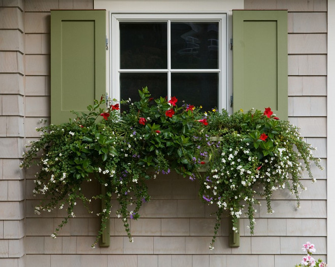 Window boxes. Window planter ideas. Window boxes and planters. #Windowboxes #windowplanters #window #plants Bowley Builders
