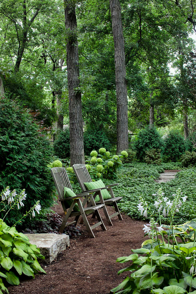 Woody Gardens. The woody strolling garden combines steppers and shredded bark as it winds through the border, pausing at a “story stone”. Planting locations minimize disturbance to existing canopy tree roots and provide privacy within the yard. #gardens #landscaping #woodsygardens Hursthouse Landscape Architects and Contractors