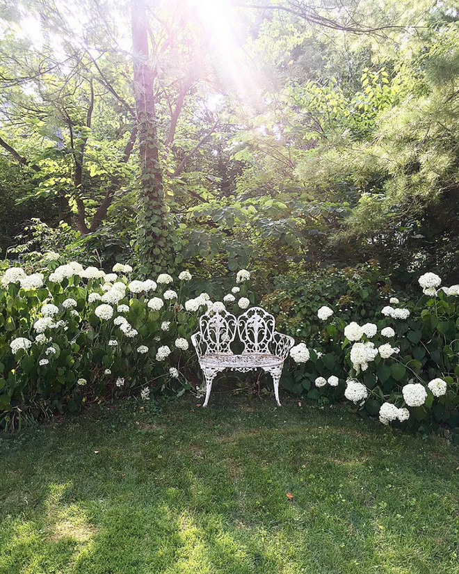 Vintage garden bench
