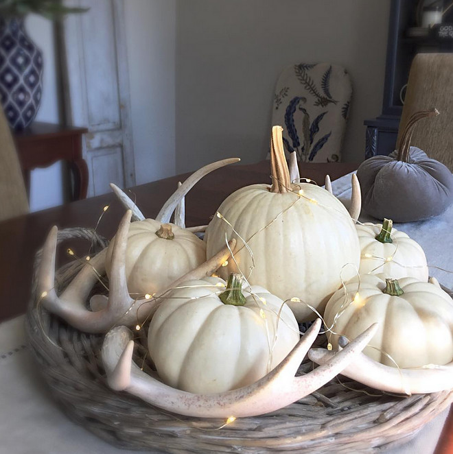 Fall Decor. Add pumpkins and antlers for an unique fall decor. Fall Interior Design Tip: Want to make your pumpkins last? Spray them with satin varnish they'll last the whole season! white-pumpkin-decor-white-pumpkins-with-antlers Kate Abt Design
