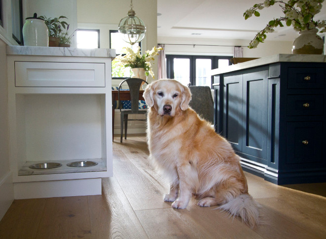 Built in Dog Feeding Bowl Cabinet in Kitchen. As you can see, our golden retriever, Miles, adores his own eat-in kitchen space, too! built-in-dog-bowl-cabinet #Pets #Builtinfeedingbowl #DogBowlCabinet #Kitchen Home Bunch Beautiful Homes of Instagram Bryan Shap @realbryansharp