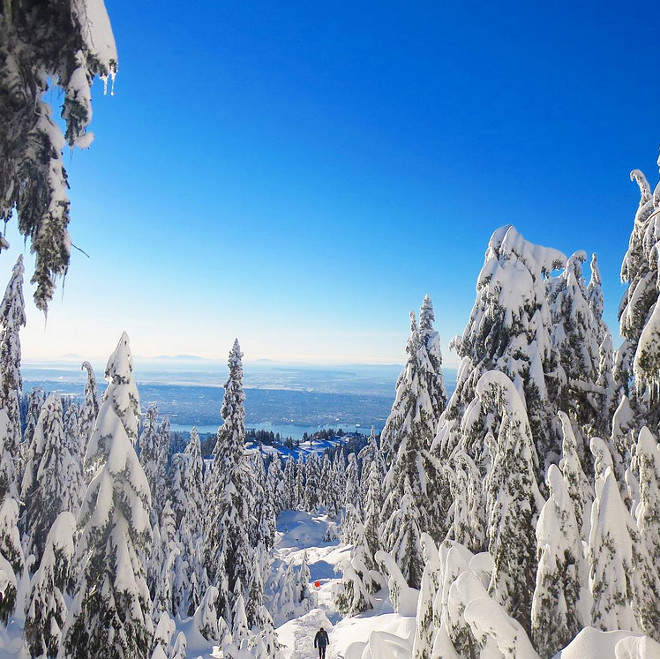 Grouse Mountain Vancouver BC Canada. #GrouseMountain #VancouverBC #Vancouver #BC #Canada Photo by Sonja - Instagram @jshomedesign