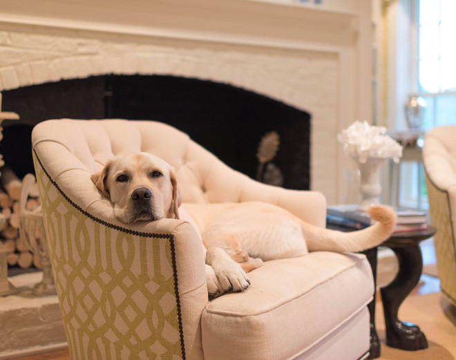 Dogs. Dog on chair. Dogs. #Dogs #Pets #DogChair #Chair Home Bunch's Beautiful Homes of Instagram @loveyourperch