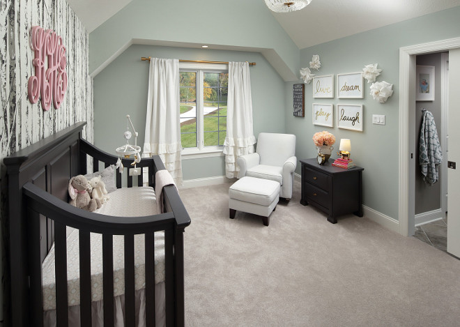 Sherwin Williams Comfort Gray. Sherwin Williams Comfort Gray. Sherwin Williams Comfort Gray. Sherwin Williams Comfort Gray #SherwinWilliamsComfortGray Barrington Homes Inc.