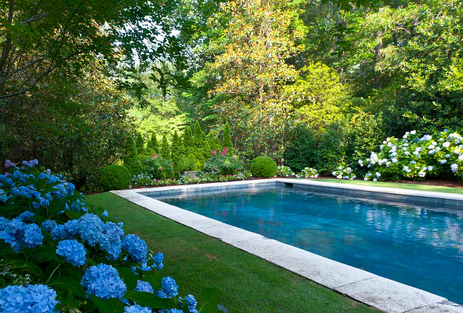 Grass Pool Deck. Pool Landscaping. Pool. Lawn Pool. Hydrangea Agricultural Services