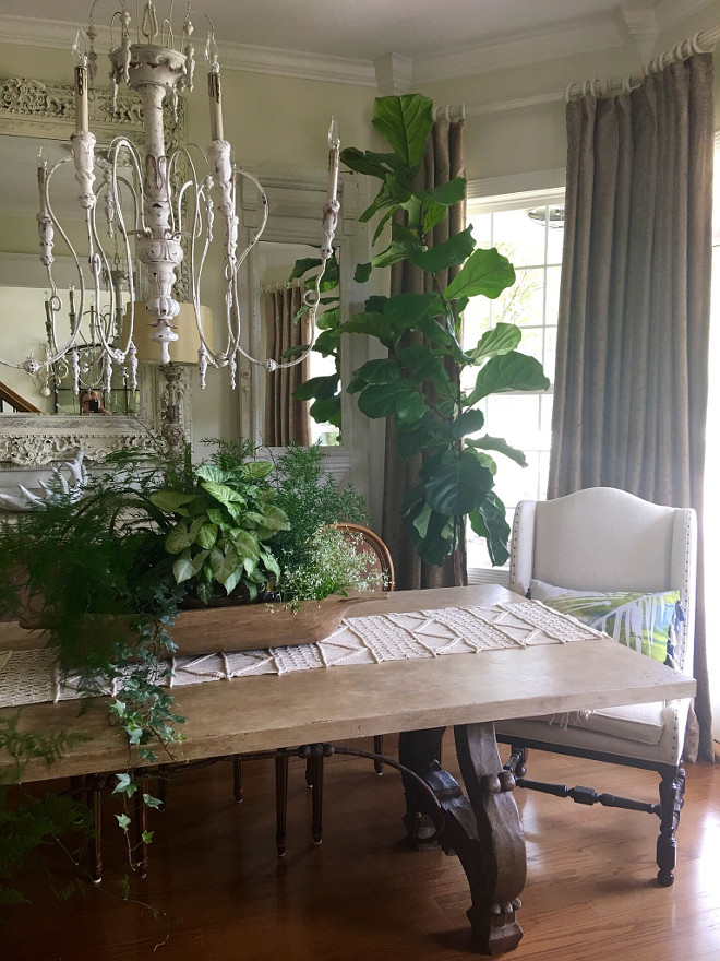 Indoor plant ideas. Indoor planters. I love to add real greenery to a neutral room! I filled my old dough bowl with a good mixture! The chandelier is from Sunbelt lighting! Indoor plants. Indoor plants #indoorplants #plants #planters Beautiful Homes of Instagram @cindimc.ivoryhome