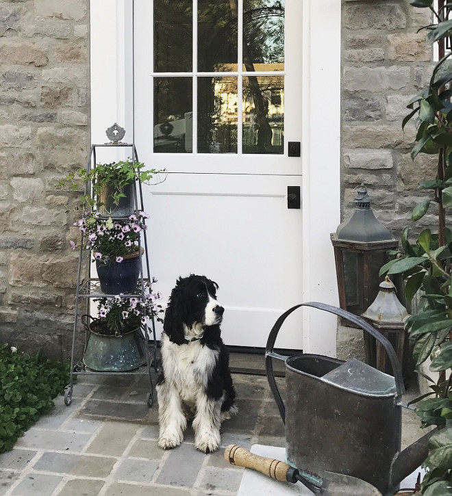 Dutch Doors. Dutch Door. Winston often guards the Dutch door leading into the cottage. #dutchdoor #dutchdoors #cottage Beautiful Homes of Instagram @SanctuaryHomeDecor