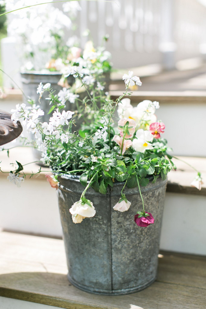Farmhouse flower planter ideas. Galvanized metal planters add a farmhouse touch to the front porch. Farmhouse galvanized metal pot planters. galvanized flower planter ideas #Farmhouseflowerplanterideas #Farmhouse #galvanizedpotplanters #galvanizedplanters Home Bunch Beautiful Homes of Instagram @finding__lovely