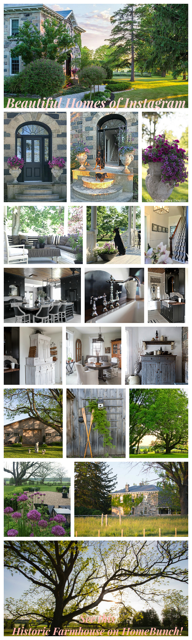 Cynthia Weber Interior Design Cynthia Weber Interior Design