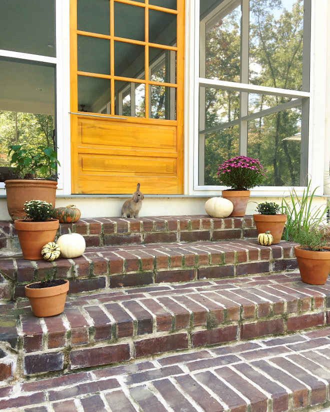 Brick steps. Cute bunny and fall decor on brick steps #bricksteps @theclevergoose