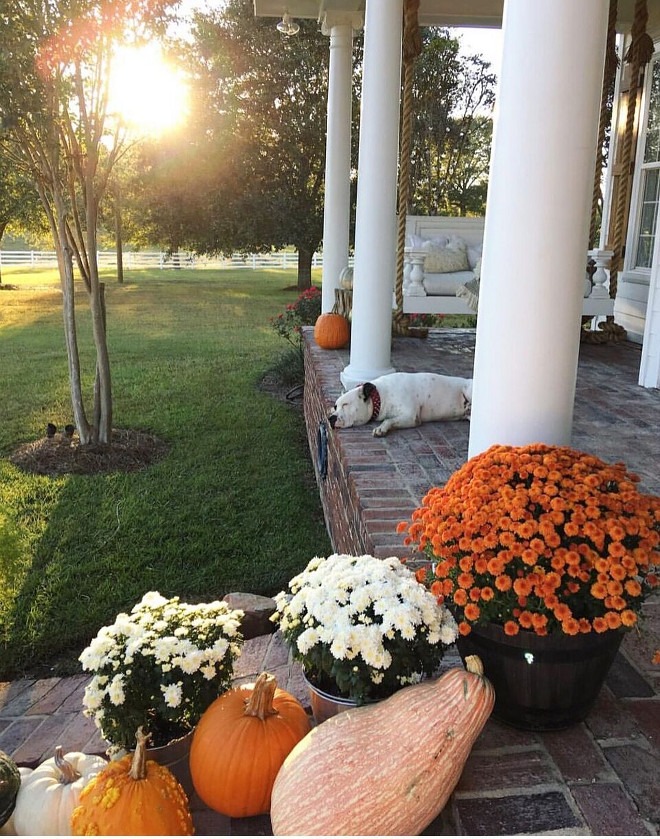 Porch Fall Decor with pumpkins and flowers. Porch Fall Decor with pumpkins and flowers. Porch Fall Decor with pumpkins and flowers #Porch #FallDecor #pumpkins #flowers @cindimc.ivoryhome