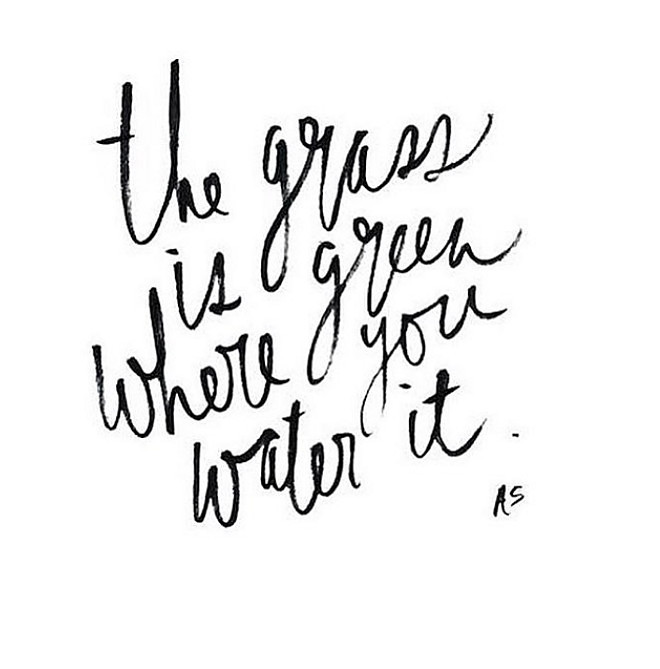 The grass is greener where you water it. Work!