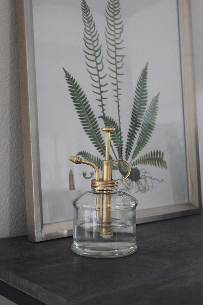 Plant Mister Plant Mister Brass and glass Plant Mister Plant Mister #PlantMister