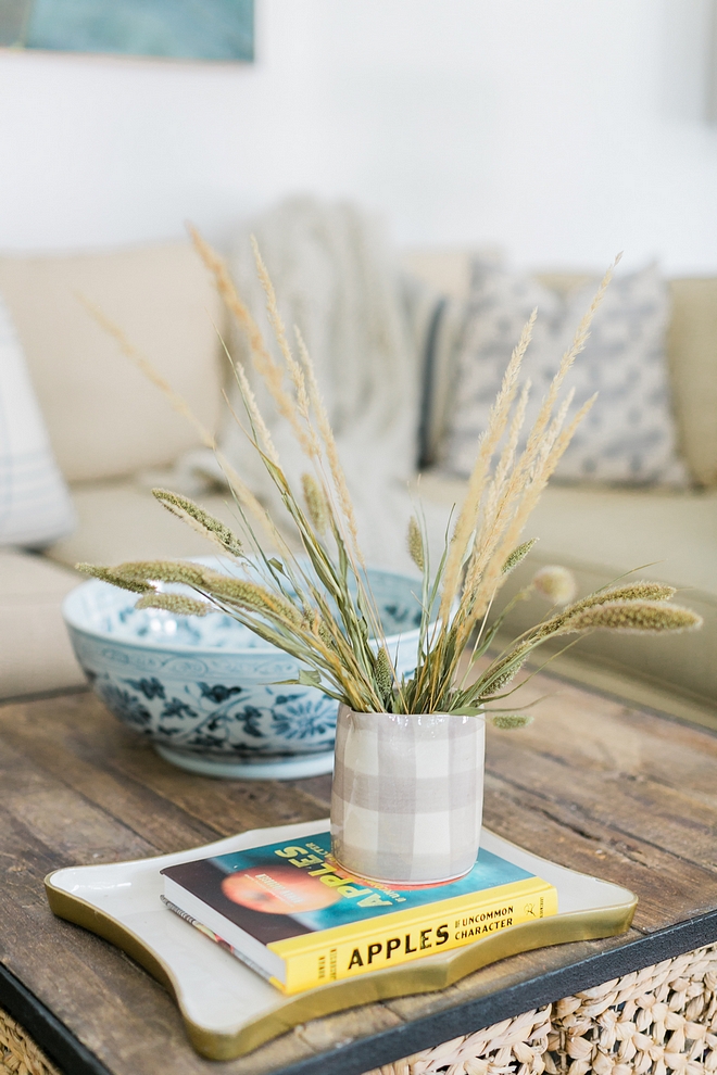 Easy and natural Fall coffee table decor