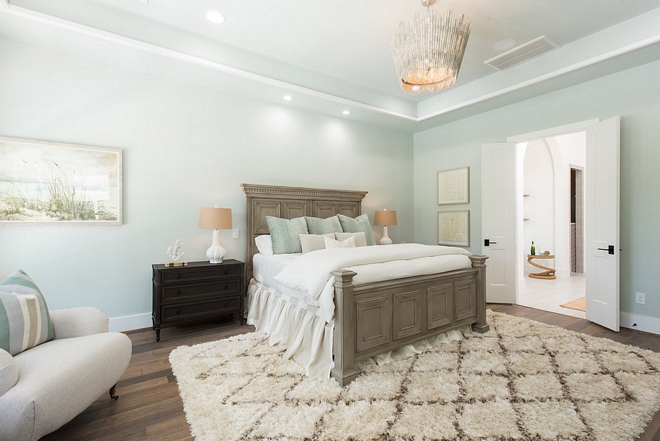 Seasalt SW6204 by Sherwin Williams