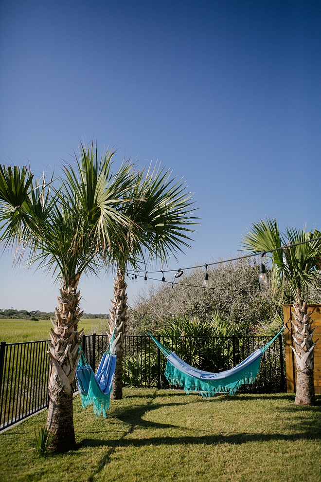 Hammocks on Palm trees #hammocks #palmtree #backyard