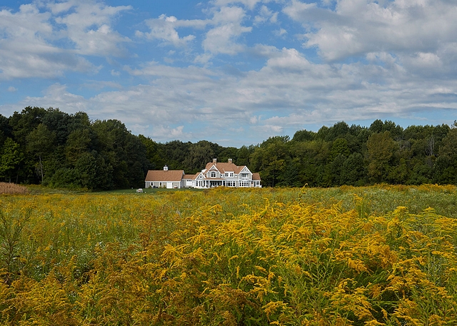 Fields of goldenrod provide a lovely foreground to the Nantucket style farmhouse #farmhouse #farmhosue #Nantucket