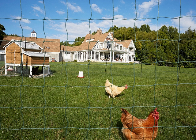 Chicken Coop Farmhouse with Chicken Coop Farmhouse Chicken Coop Residential Chicken Coop Backyard Chicken Coop #ChickenCoop #farmhouse