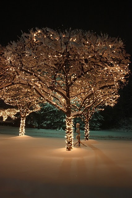 Christmas Decorating Ideas Christmas Decorating Ideas Christmas ...