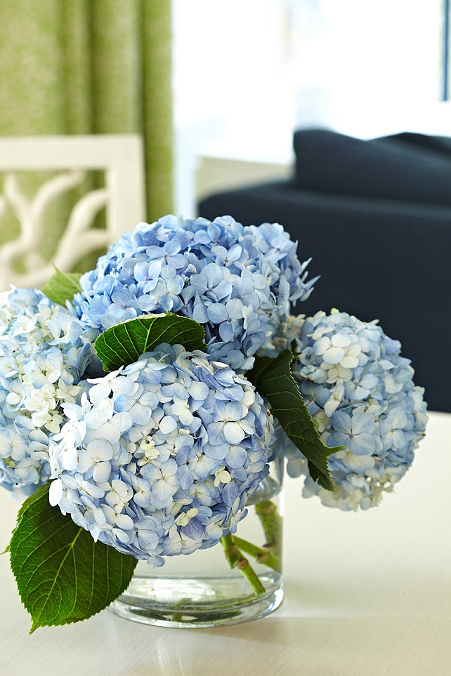 Blue Hydrangeas. Anne Hepfer Designs.
