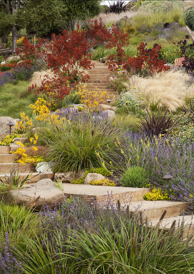 Drought Tolerant Front Yard Landscaping Ideas