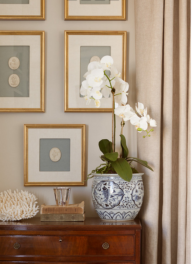 Orchid.-White-orch.-Traditional-interiors-with-white-orchid.-WhiteOrchid-Orchid-Interiors-Jenny-Wolf-Interiors..jpg