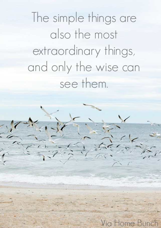 The simple things are also the most extraordinary things, and only the wise can see them. Photo by Erica George Dines.