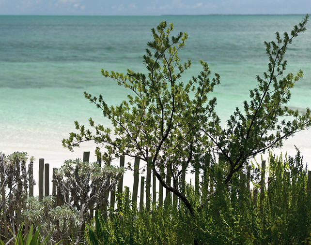 Beach. Turquoise Beach. #Beach #Turquoise