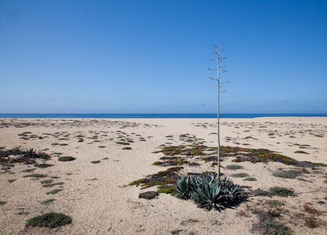 California Beach Picture. #California #Beach #Picture