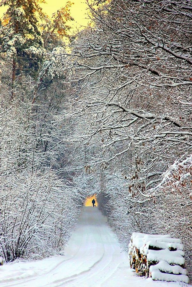 Christmas Day Walk on Snow. Photo by Anita Kryszkiewicz