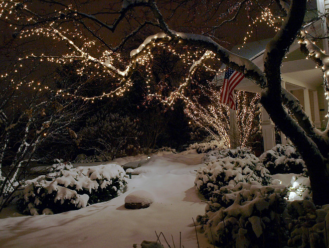 Christmas Lights. Snow Christmas Lights on Tree. Snow Christmas Lights. #Snow #Christmas #ChristmasLights James Martin Associates