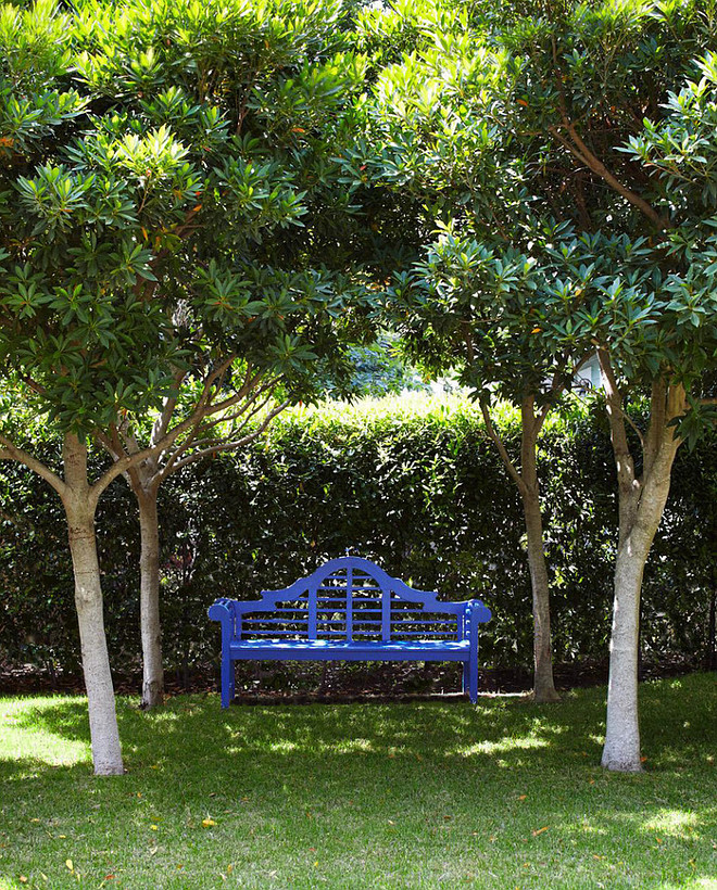 Hedge. Privacy Hedge Types. The hedge is Cherry Laurel; it thrives in sunlight; too much shade and gets thin. These trees are Japanese Blueberry. #Hedges #PrivacyHedge #Gardens #Landscaping #Backyard #CherryLaurel #Plants Tim Cuppett Architects.