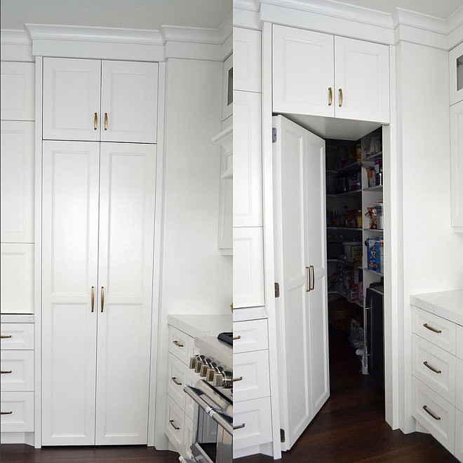 Kitchen secret pantry door. This secret pantry door in this kitchen is so fun! Paneling the door helped create a seamless look in the space! #kitchen #secretpantrydoor #kitchensecretpantrydoor Sita Montgomery Design 