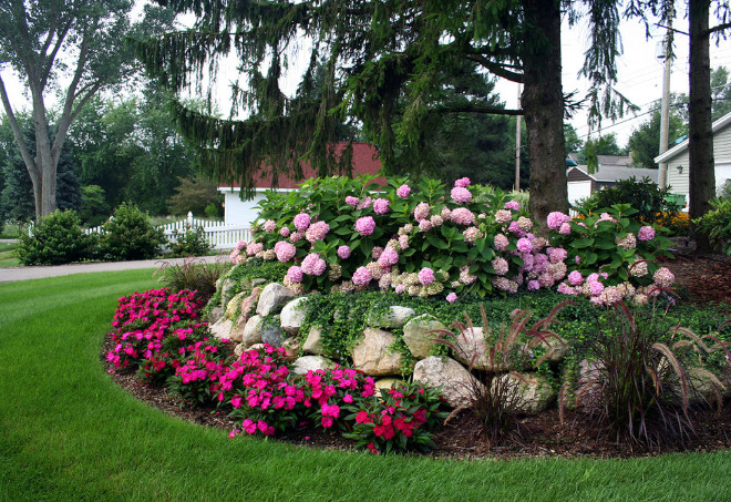 Pink hydrangeas. Garden Pink hydrangeas.. Garden Ideas Pink hydrangeas. #Pinkhydrangeas #Gardens .Landscape Design Services