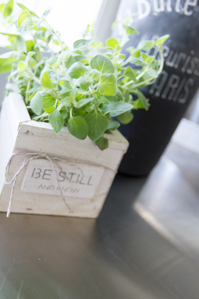 Fresh herb planter for kitchen. Heritage Homes of Jacksonville and Villa Decor & Design