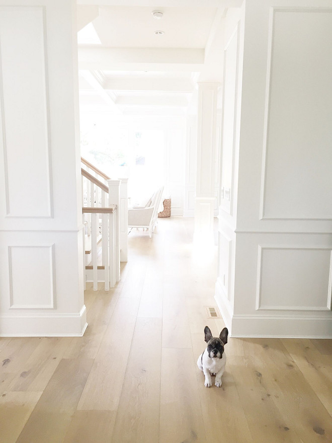 Oak Flooring. White oak flooring. Home interiors with White oak flooring and white paneled walls. Pravada Floors- Artistique Collection in Matisse. #Home #interiors #Whiteoak #flooring #hardwood #hardwoodfloor #whitepaneledwalls #paneledwalls jshomedesign