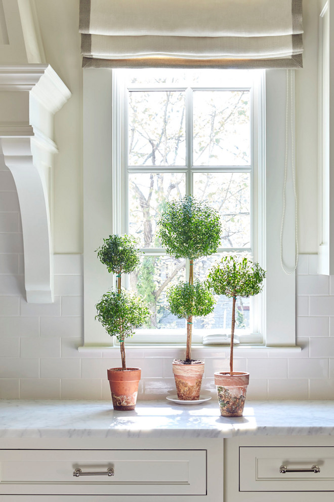 White Kitchen with Topiaries. White Kitchen with Topiaries topiaries #WhiteKitchen #Topiaries Sarah Bartholomew Design