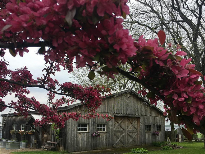 Barn. Rustic barn ideas. Farmhouse barn #barn #rustic #rustcibarn #farmhouse #farmhousebarn Home Bunch's Beautiful Homes of Instagram Cynthia Weber Design @Cynthia_Weber_Design