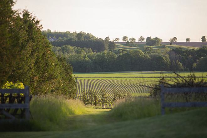 Pasture and fence Home Bunch's Beautiful Homes of Instagram Cynthia Weber Design @Cynthia_Weber_Design