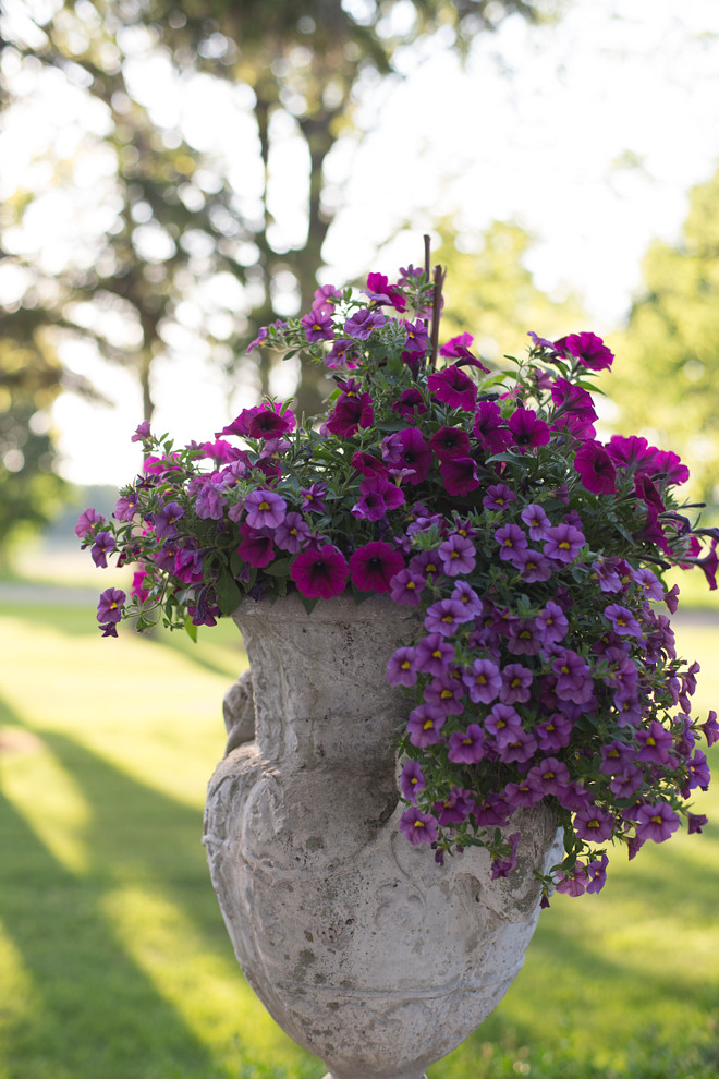 Planter Flower Ideas. Planters. Front door planters. Deciding what to plant in the urns makes me happy. I have a confession to make… I change them out a few times a season. I just can’t help myself! Door planter flower ideas #planters #flowers #doorplanters Home Bunch's Beautiful Homes of Instagram Cynthia Weber Design @Cynthia_Weber_Design