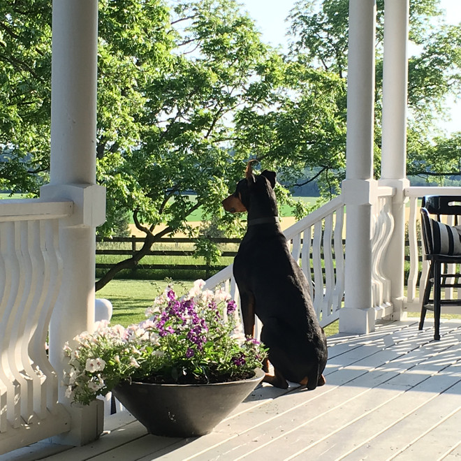 Porch floor is Benjamib Moore HC-170 Stonington Gray Home Bunch's Beautiful Homes of Instagram Cynthia Weber Design @Cynthia_Weber_Design