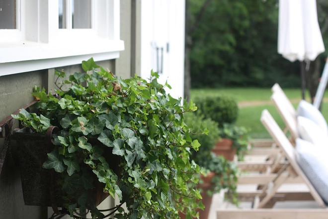 Window Planters. Window Planter Ideas. Window Planters #WindowPlanter #WindowPlanters Home Bunch's Beautiful Homes of Instagram @blessedmommatobabygirls