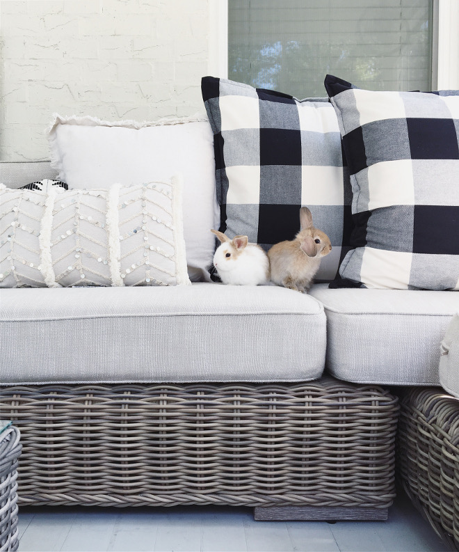 Bunnies. The bunnies names are Maple and Buttermilk. Aren't they the cuttest? #bunnies @theclevergoose